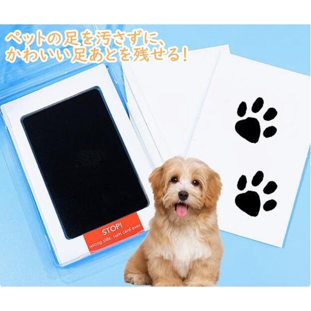愛犬・愛猫との大切な瞬間を、いつまでもそばに。