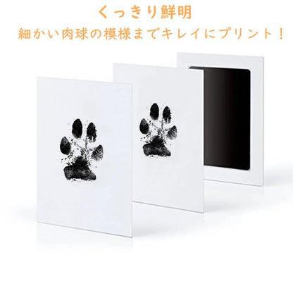 愛犬・愛猫との大切な瞬間を、いつまでもそばに。